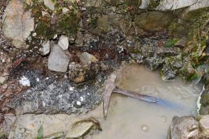 Elementos Limited Tin Mining Australia Tasmania