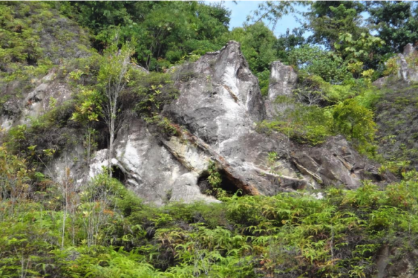 Temengor Tin Project Perak Malaysia Elementos Limited